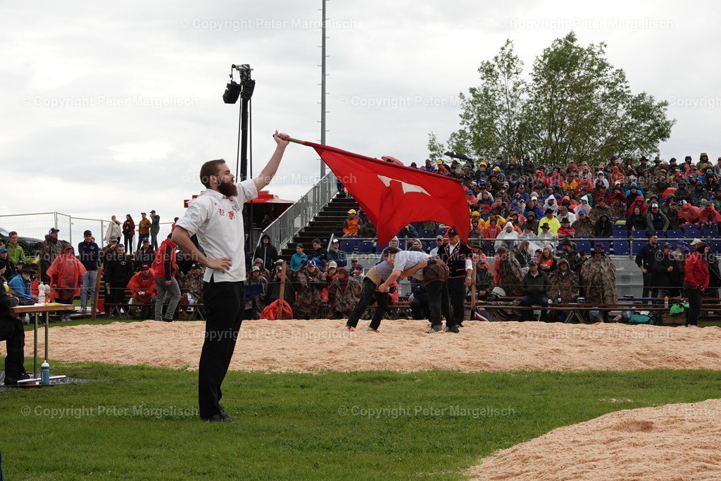 DSC00736 | Schwingen - Realisiert mit Pictrs.com