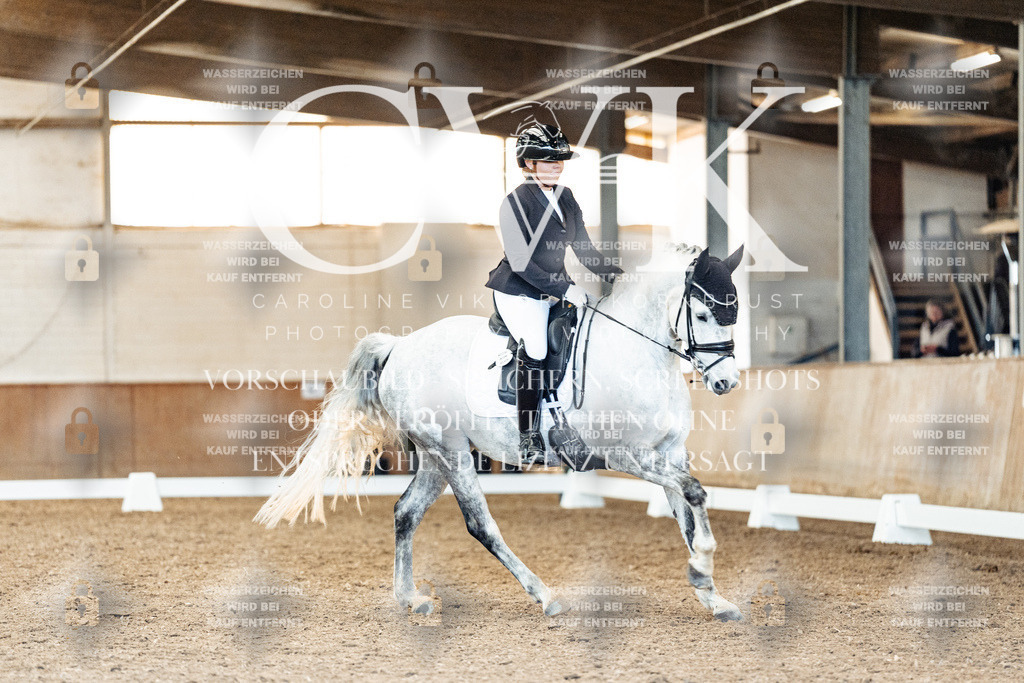 CK909677 | Turnierfotografie Pferdefotografie Trier Rheinland-Pfalz Pferdesport Reitsport Tierfotografie Sportfotografie Pferdevideo Pferdevideografie Equestrianvideography equestrianphotography  - Realisiert mit Pictrs.com