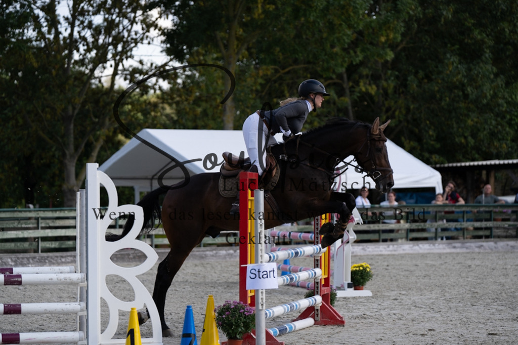 A7V07633 | Pferdefotograf