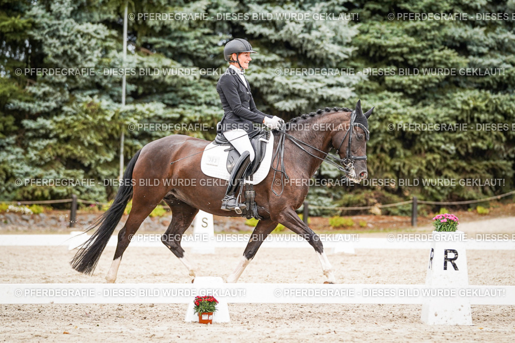 DSC07551 | Pferdegrafie