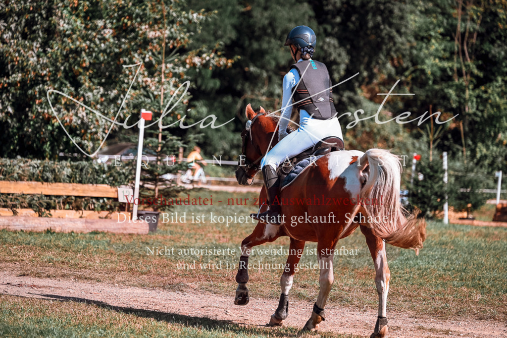 DSC_1025 | Pferde- und Turnierfotografie in Westsachsen. Pferdeportraits, Auftragszeichnungen und intuitive Kunst.