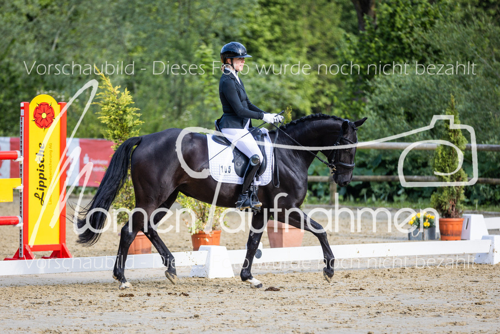 Donop24-A-Dre-104 | MomenTaufnahmen Pferdesportfotos