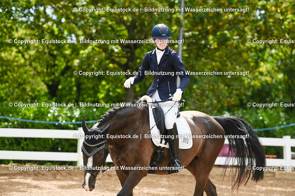 20230715_07_Dressurpferdeprfg. Kl.L_0015 | equistock
