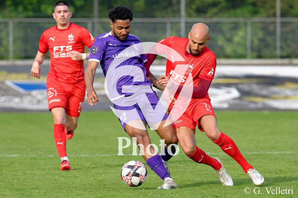 DSC_8614 | Velletri Photo