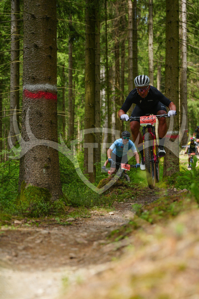 FC603722 | Fotogalerie der Treibjagd im Dunkelwald - Dein MTB Etappenrennen im Erzgebirge - Realisiert mit Pictrs.com