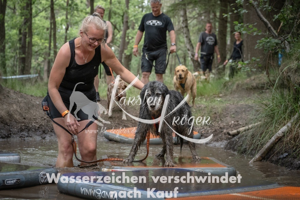 1234_ZZ99977T | kk-dogfotos