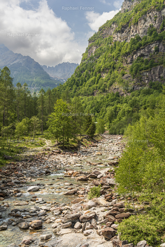 Verzasca-Fluss mit Blick in Richtung Lavertezzo | Ein eindrucksvolles Bild aus dem Val Verzasca im Tessin. Der klare Fluss schlängelt sich durch das wildromantische Tal, umrahmt von grünen Berghängen und dramatischem Wolkenspiel – ein Ort voller Ruhe und Naturgewalt.
