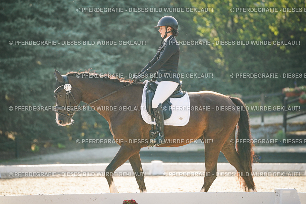 DSC07847 | Pferdegrafie