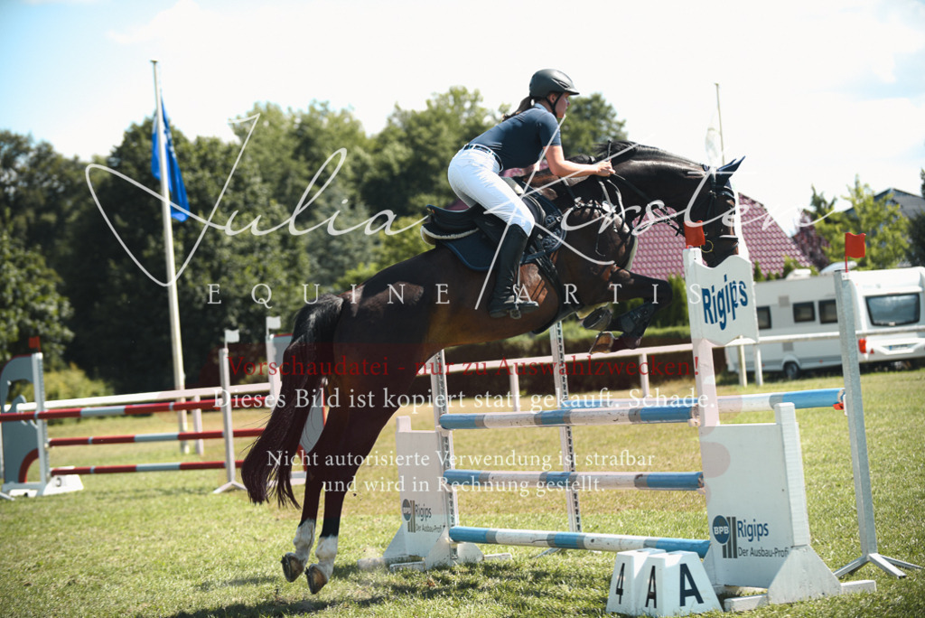 DSC_7008 | Pferde- und Turnierfotografie in Westsachsen. Pferdeportraits, Auftragszeichnungen und intuitive Kunst.