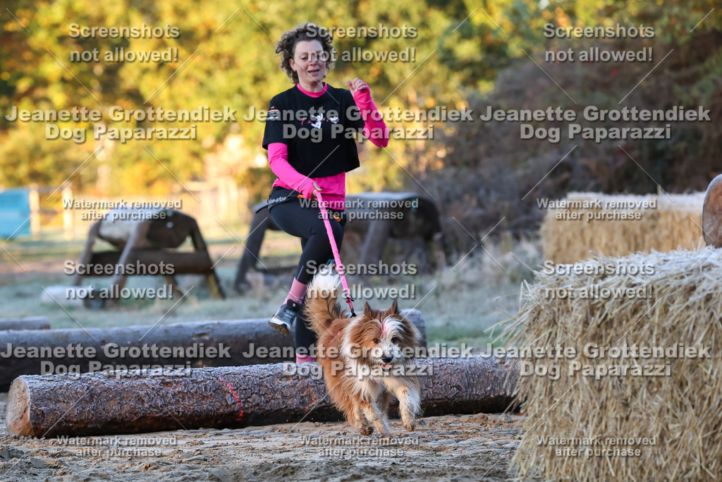 Dog Paparazzi - Strongdog 10-25-398 | Dog Paparazzi Jeanette Grottendiek Fotografie & Videografie - Realisiert mit Pictrs.com