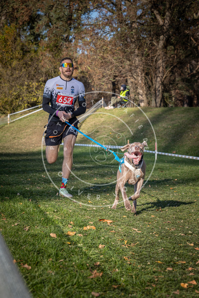 CaniXpix_0L8A9110 | Hundefotografie, Tierfotograf, Pfotenfotografie, Fotoshooting Hund, Hunde Portrait, Hundesport, Hundeportraits, Heideshooting, Hunde, Sportfotograf, Hundefotograf, Turnierhundsport, THS,  - Realisiert mit Pictrs.com