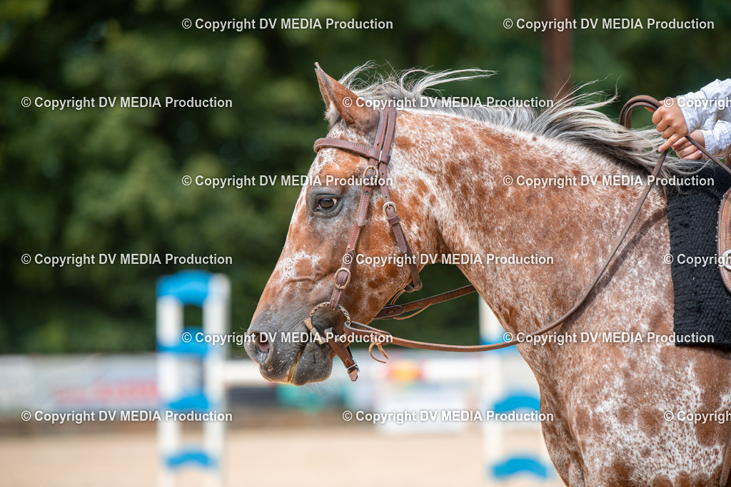 EWP_6639 | dv-media-shop - Realisiert mit Pictrs.com