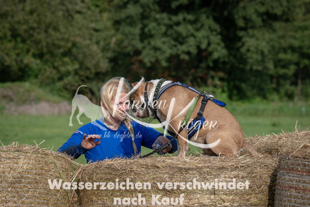 1608_ZZ91750 | kk-dogfotos