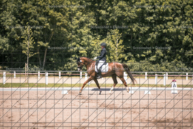 _W6A2448 | ronjaprokoschfotografie - Realisiert mit Pictrs.com