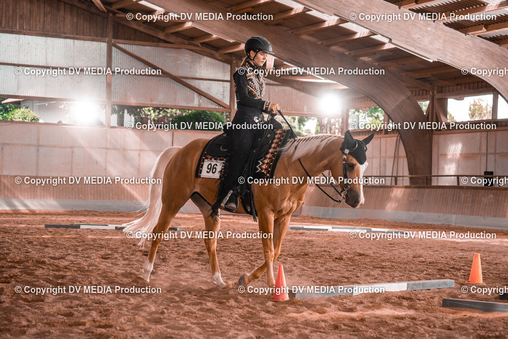 NE200243 | dv-media-shop - Realisiert mit Pictrs.com