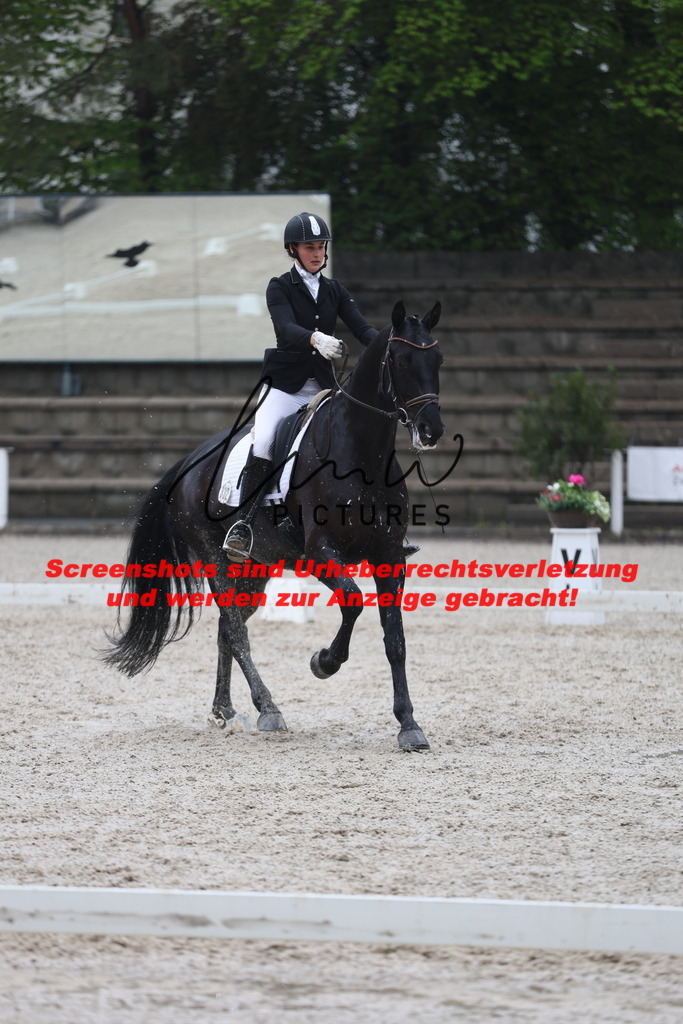 A40A8129 | lmwpictures - Realisiert mit Pictrs.com