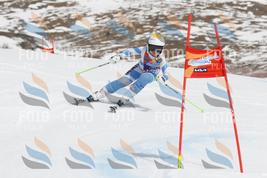 _U3G2909 | holidayphoto