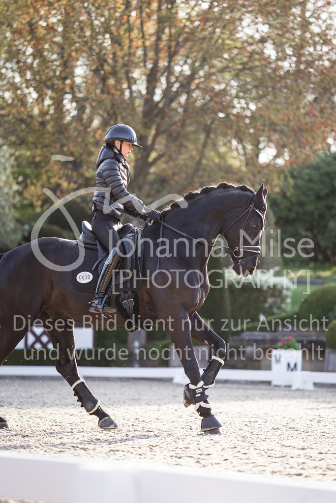 260411_Kronberg_Impressionen-202 | Deine schönsten Turniermomente als professionelle Fotos! Entdecke hochwertige Pferdesport-Fotografie im Online-Shop. Jetzt Fotos finden & bestellen!