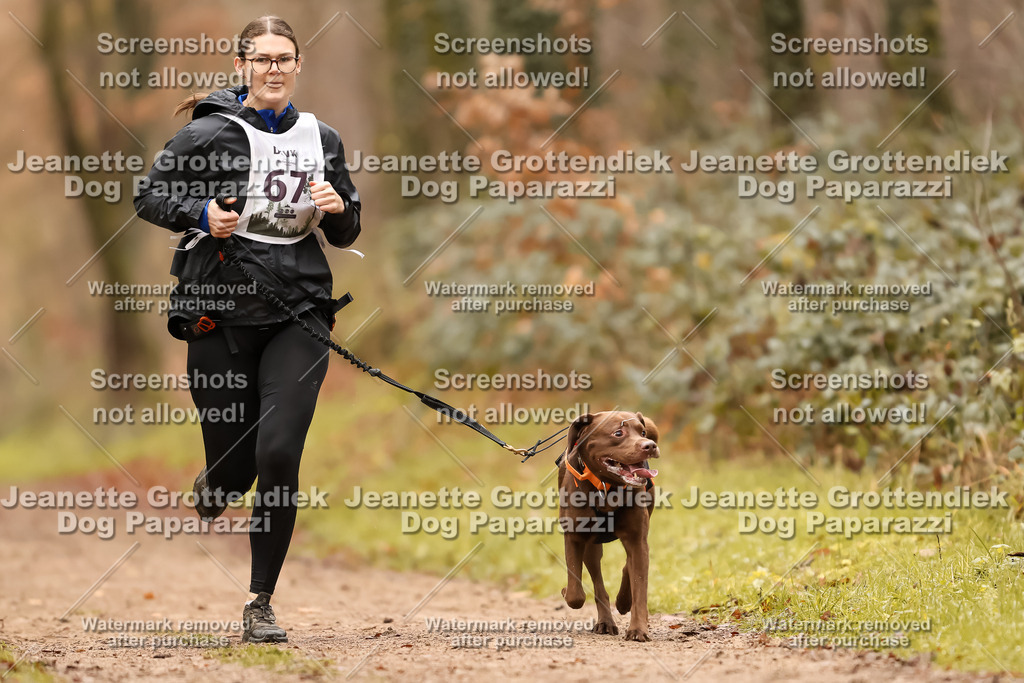Dog Paparazzi - Speedhunter Mannheim  2025-200 | Dog Paparazzi Jeanette Grottendiek Fotografie & Videografie
