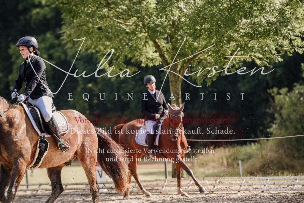 DSC_9284 | Pferde- und Turnierfotografie in Westsachsen. Pferdeportraits, Auftragszeichnungen und intuitive Kunst.