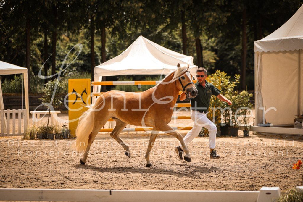 06.So00026 | Leoni Ertmer Photography - Realisiert mit Pictrs.com