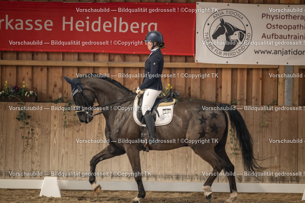 _D5A9531 | Emotionale Pferde- & People-Fotografie rund um Heidelberg, Leimen & Umgebung. Natürliche Fotos von Pferd, Mensch & Familie. Jetzt Termin sichern!