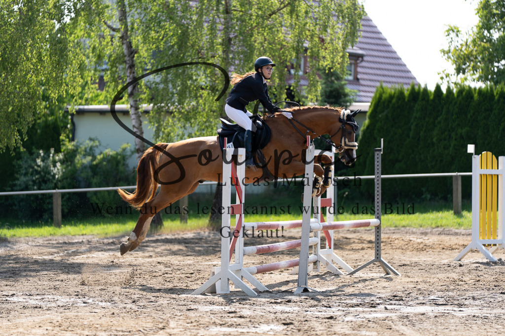 A7507344 | Turnier/Reitfotograf
