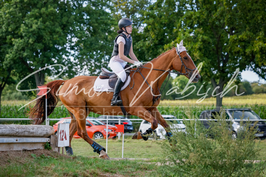 20250905-_3LI2242 | Tierfotografie Pferde, Hunde, Katzen, Haustiere.
Turnierfotografie Reitturniere, Reiten, Springreiten, Dressur in Hanau, dem Main-Kinzig-Kreis und dem Rhein-Main- Gebiet um Frankfurt
