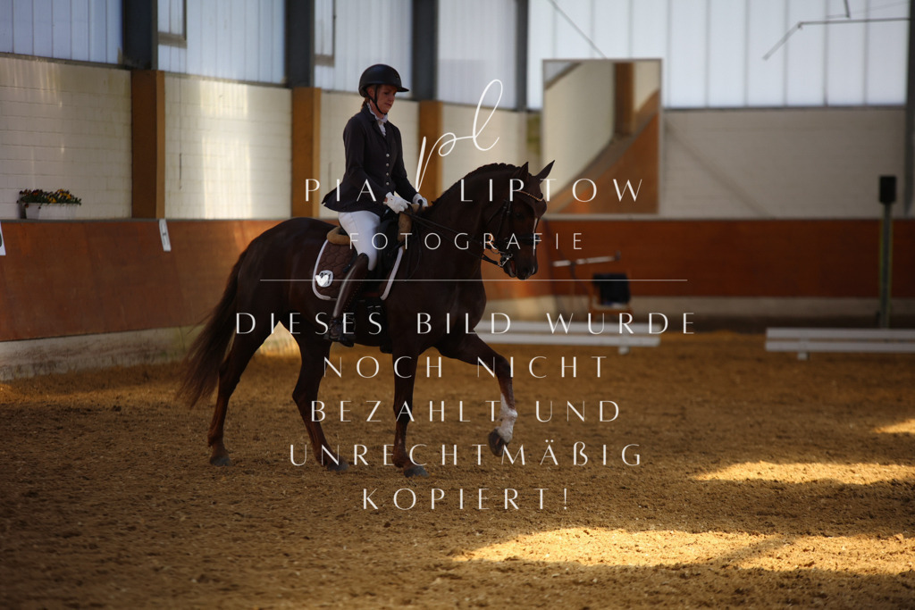 IMGT8364 | pl-fotografie