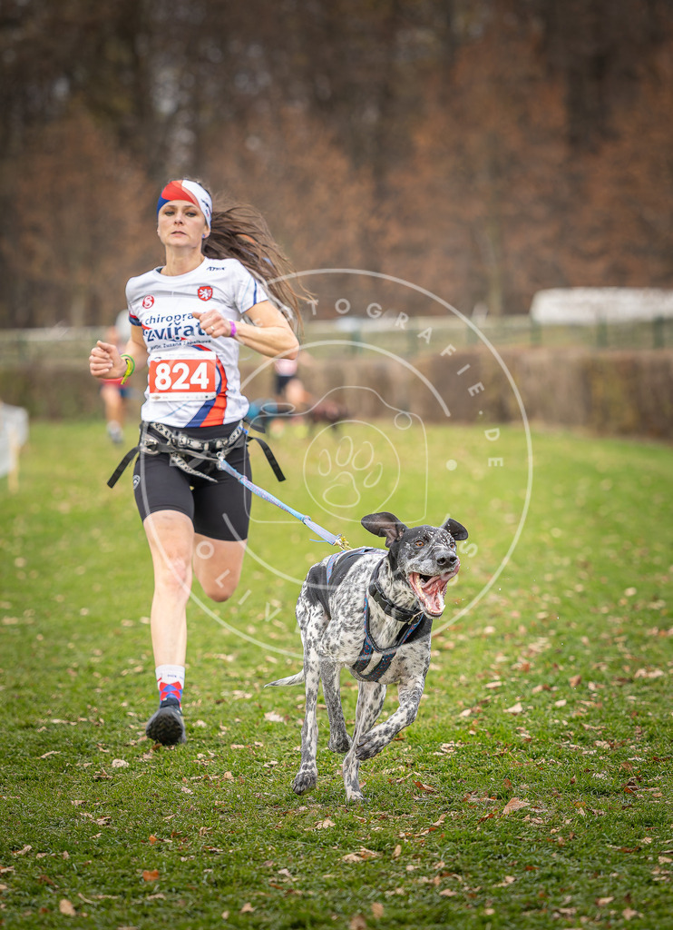 CaniXpix_DV3A6326 | Hundefotografie, Tierfotograf, Pfotenfotografie, Fotoshooting Hund, Hunde Portrait, Hundesport, Hundeportraits, Heideshooting, Hunde, Sportfotograf, Hundefotograf, Turnierhundsport, THS,  - Realisiert mit Pictrs.com