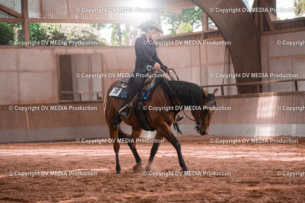 NE100401 | dv-media-shop - Realisiert mit Pictrs.com