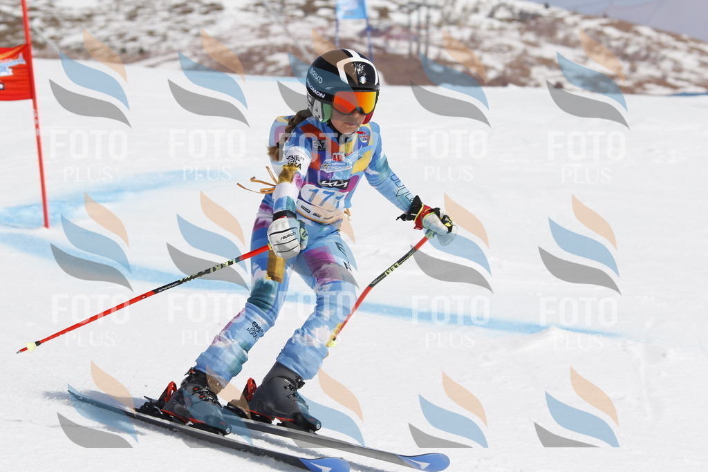 _U3G1572 | holidayphoto