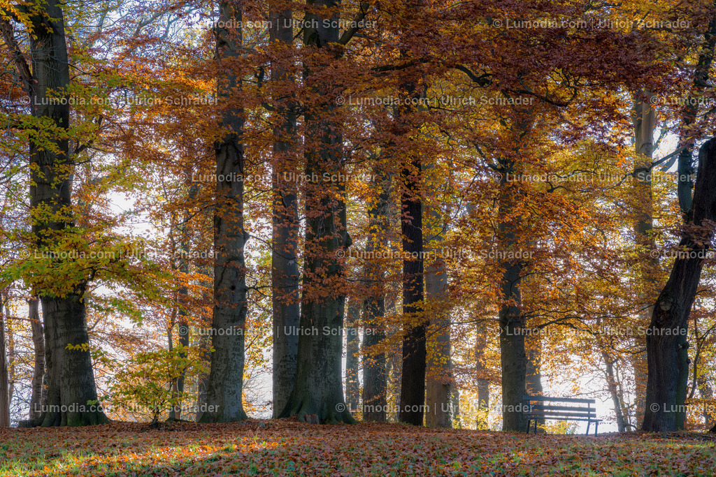 10049-4702 - Schloss und Schlosspark Harbke | Stockfoto und Bilderpool mit Bildmaterial aus Deutschland, dem Harz, Halberstadt, Quedlinburg, Wernigerode und weltweit. Qualitativ hochwertige und professionelle Fotos anschauen und kaufen. - Realisiert mit Pictrs.com