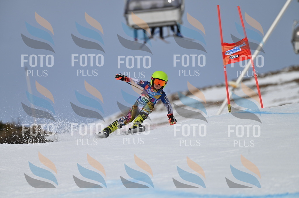 BGV_5763 | holidayphoto