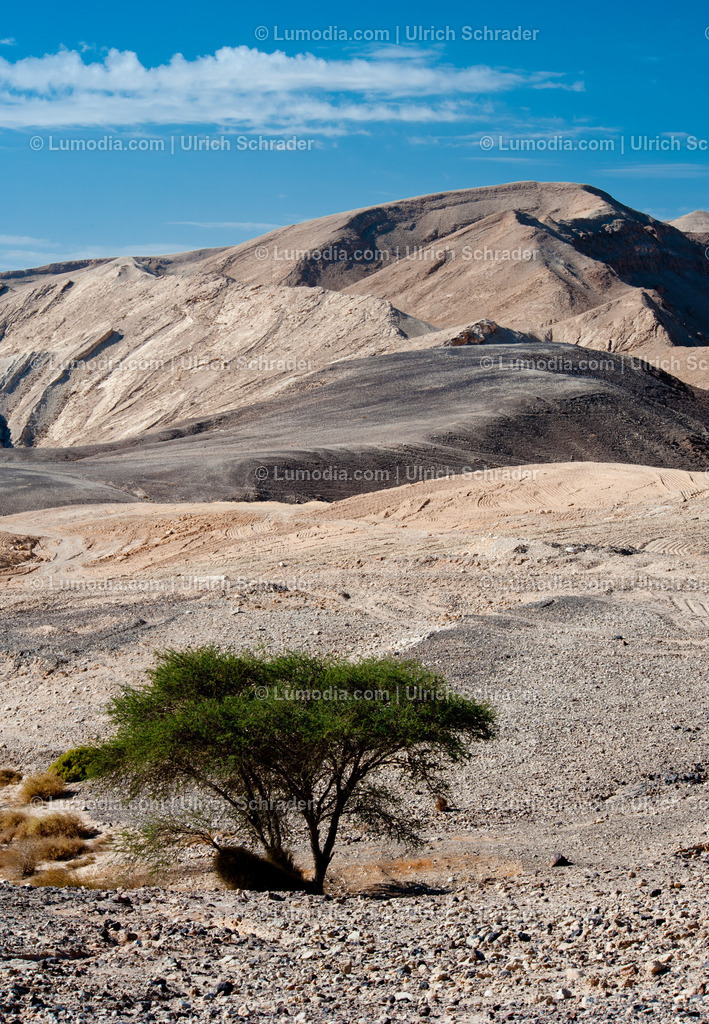 10972-10342 - Negev-Wüste _ Israel | max. Bildgröße A3 | 300dpi - Realisiert mit Pictrs.com