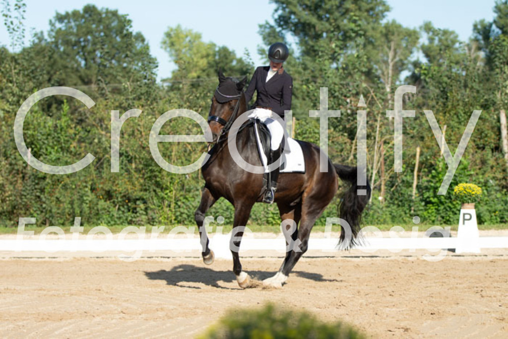 IMG_5617 | Creatify Fotografie