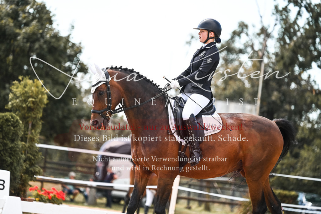 DSC_5631 | Pferde- und Turnierfotografie in Westsachsen. Pferdeportraits, Auftragszeichnungen und intuitive Kunst.