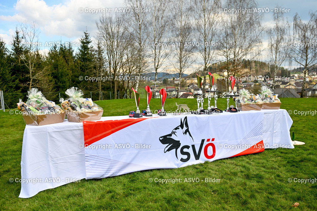 ASVÖ_ Tracking Dog World Championship 2025_ 05.04.2025-30 | bilder.asvo-sport - Realisiert mit Pictrs.com