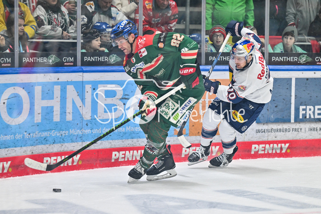 Augsburger Panther - EHC RB München | AUGSBURG, DEUTSCHLAND - 27. FEBRUAR: im Duell Alexandre GRENIER (Augsburger Panther 82) und Maximilian DAUBNER (RB München 70) während dem Match zwischen den Augsburger Panthern und dem EHC RB München am 46. Spieltag der Penny DEL im Curt Frenzel Stadion