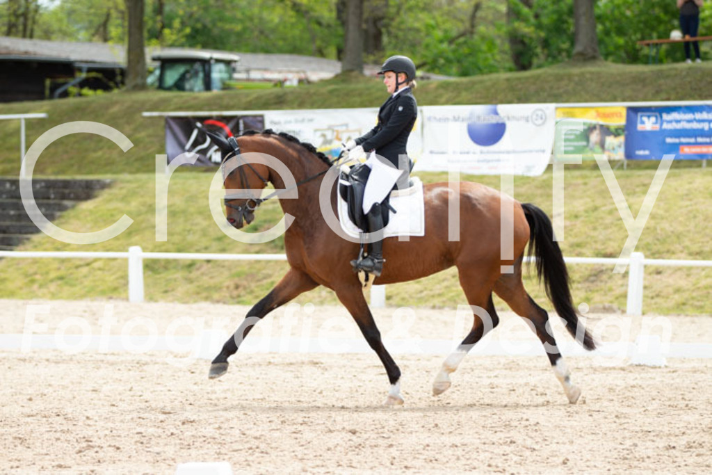 IMG_2420 | Creatify Fotografie