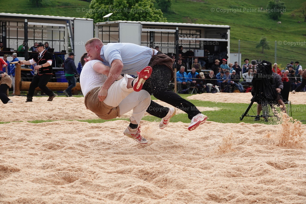 DSC00676 | Schwingen - Realisiert mit Pictrs.com