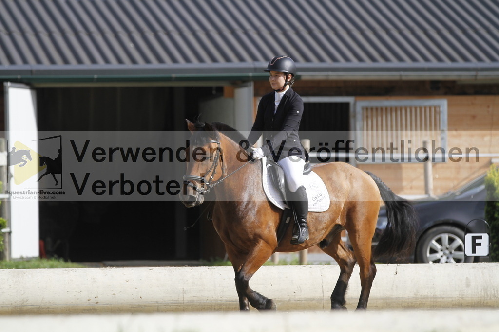 _MG_0270 | equestrian-live-com