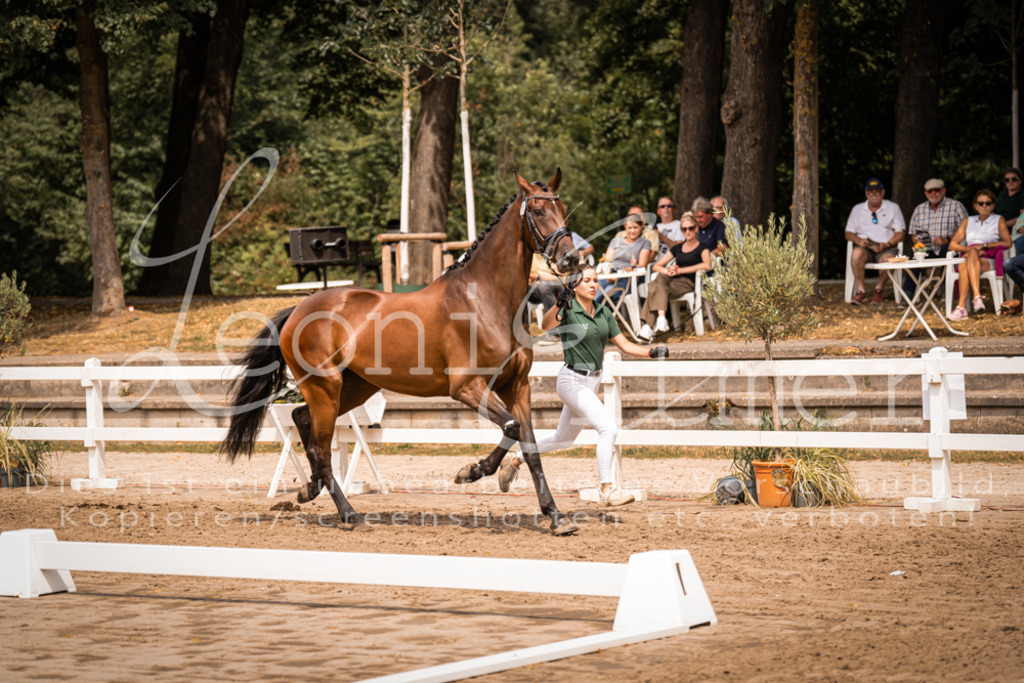 3.Fr00097 | Leoni Ertmer Photography - Realisiert mit Pictrs.com