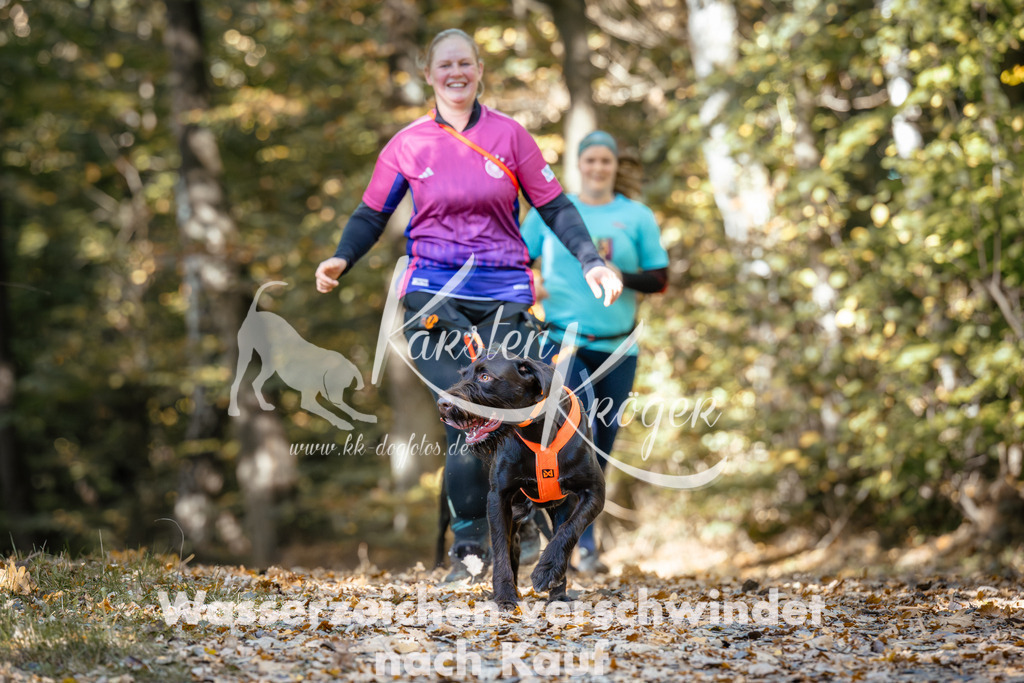 1222_ZZ95018 | kk-dogfotos