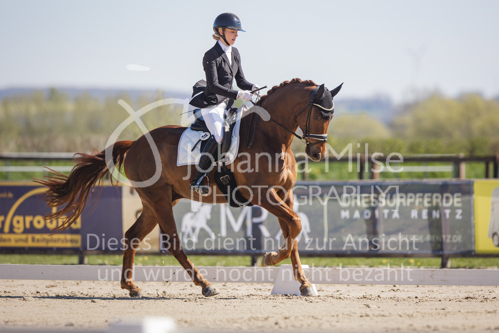 220418_Dressurpferde-L-113 | Frühlingsfest der Pferde
Herford
18.April 2022
Dressurpferdeprfg. Kl.L DL2