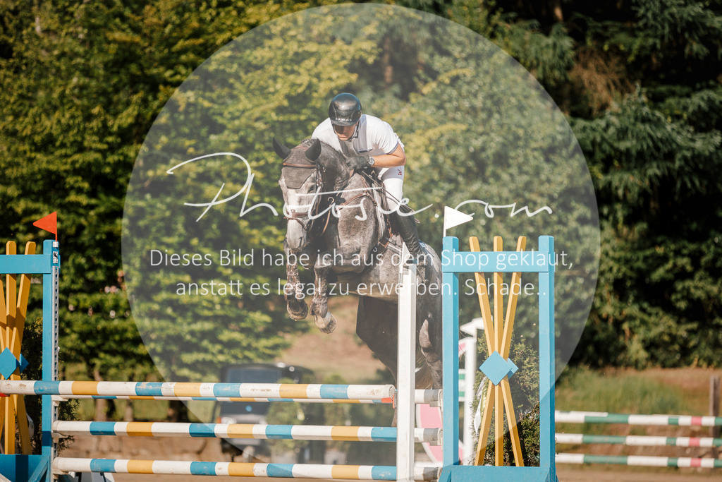 3I6A6287 | Stimmungsvolle Portraits und Reitsportfotografie im Ruhrgebiet und im Münsterland.

Pferdefotografie, Hundefotografie, Tierfotografie, Reportagen, Portraits von Tier und Mensch, Turnierfotografie in Bochum, Recklinghausen, Marl, Haltern am See, Dülmen.. - Realisiert mit Pictrs.com