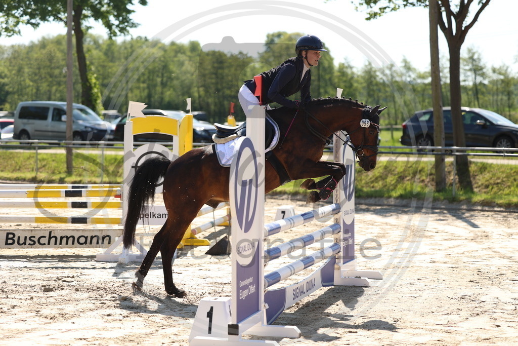 994A5582 | sabrinanicolaifotografie - Realisiert mit Pictrs.com