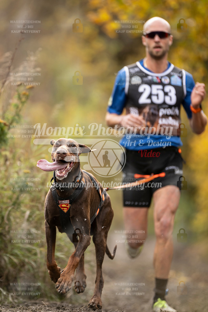 MompixPhotography_ICF_WC_2024_SA_Run_-44 | PayLife