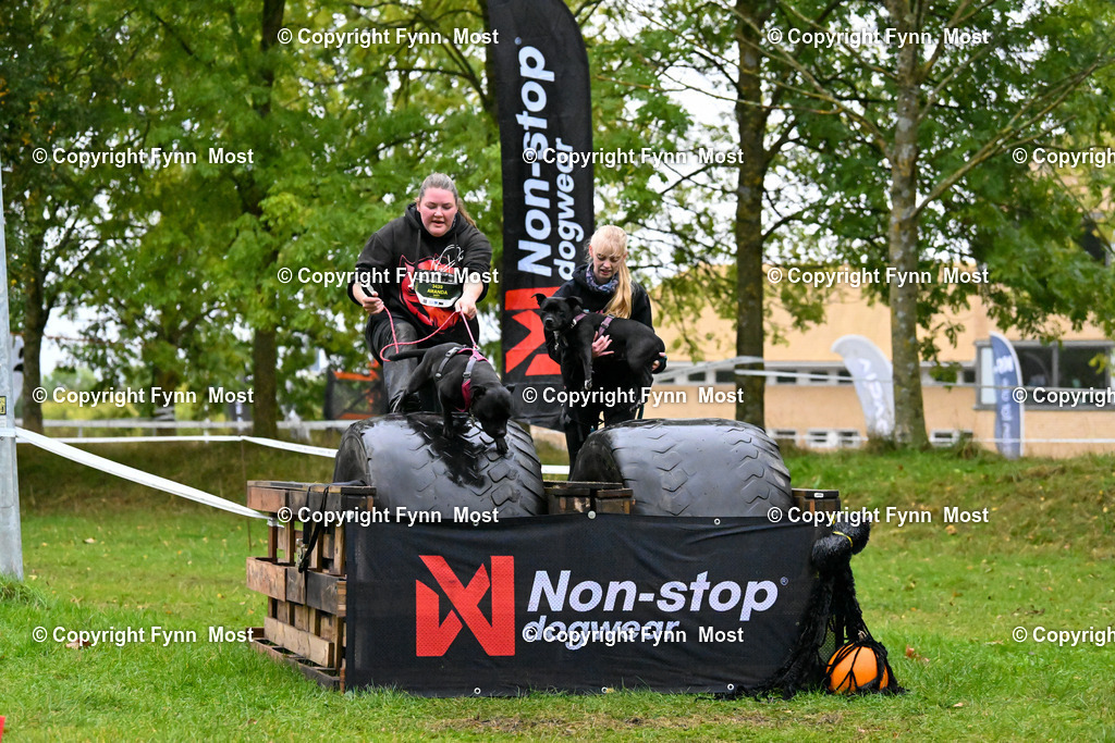 DSC_1145 | Hallo und herzlich Willkommen auf meiner Shop-Seite Fynn Most.

Ich wünsche Dir viel Spaß beim stöbern durch die Bilder, wenn Du Fragen hast oder Bilder vermisst, kannst du mir gerne eine Nachricht schreiben. - Realized with Pictrs.com