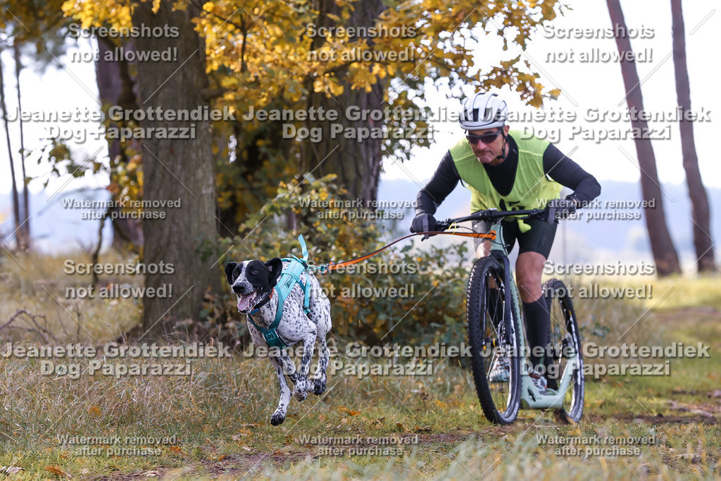 Dog Paparazzi - Elsholz 25 -173 | Dog Paparazzi Jeanette Grottendiek Fotografie & Videografie - Realisiert mit Pictrs.com